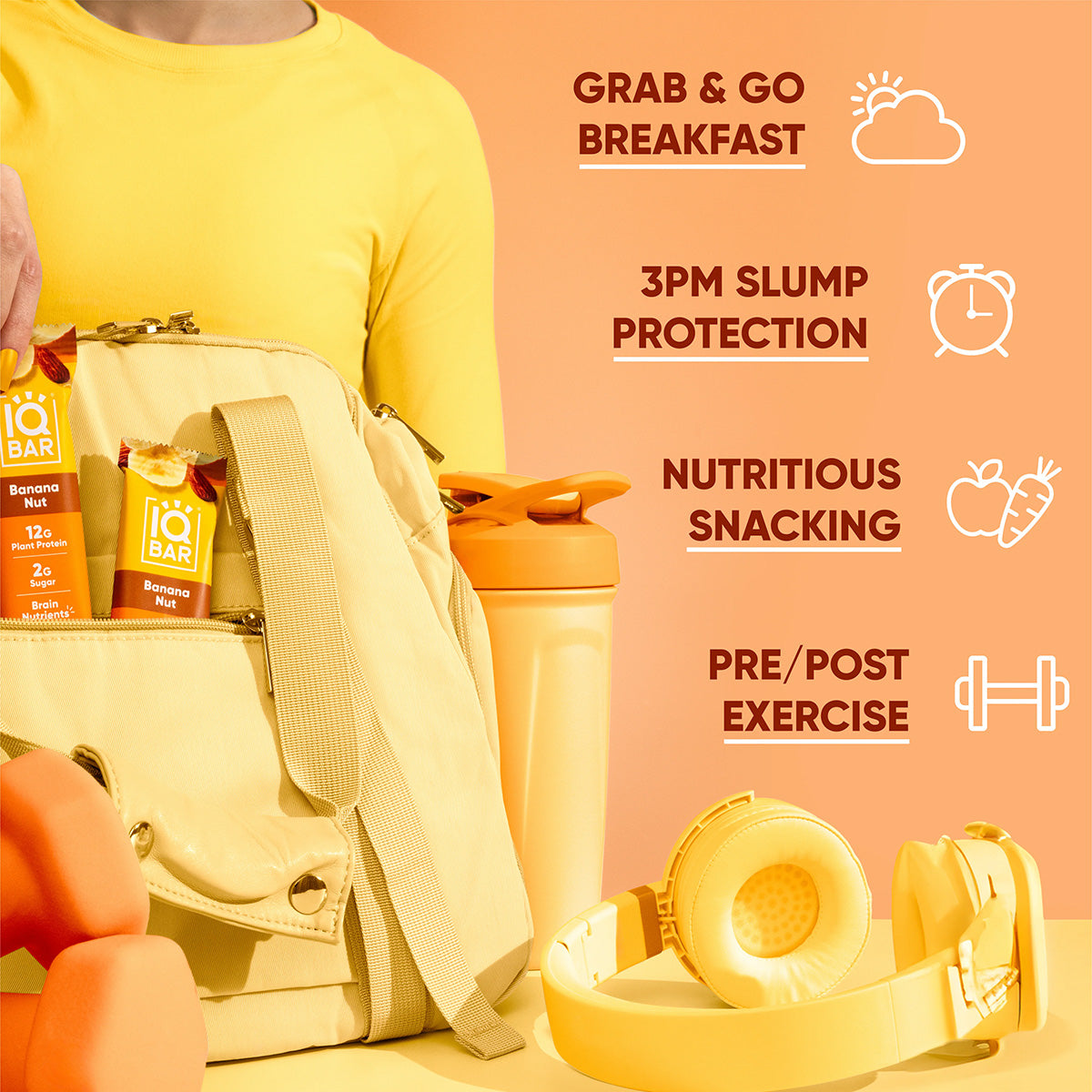 IQBAR Fruit Lovers Bundle (36 Bars)
