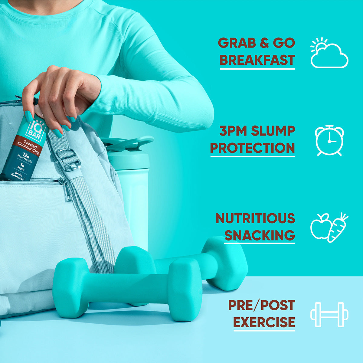 IQBAR Toasted Coconut Chip – Protein-Packed Energy Bars (12 Bars)