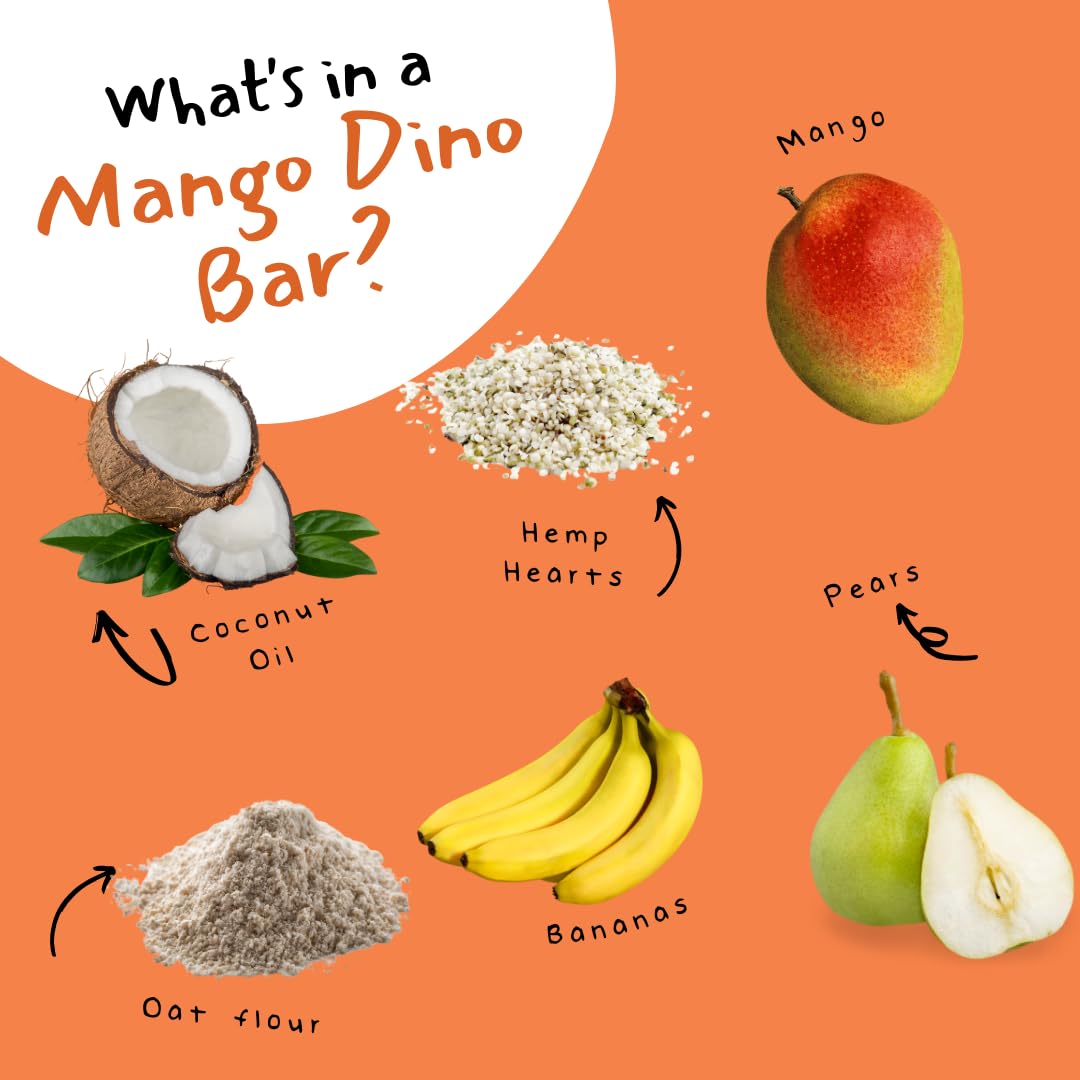 Dino Bars Organic Fruit Bar Variety Pack