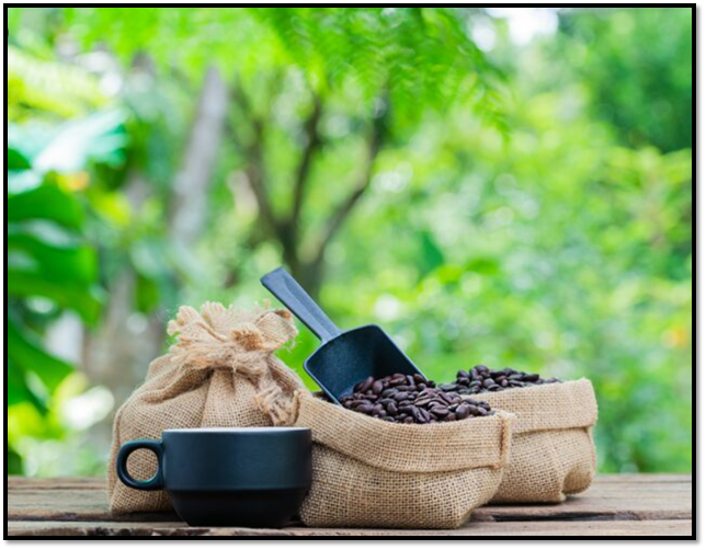 Green Mountain Coffee Pods