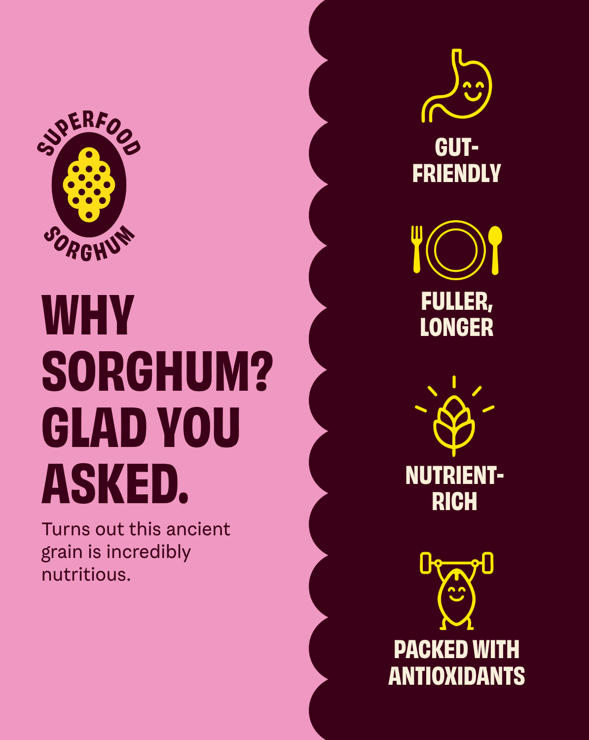 Cob Olive Oil Pink Salt Popped Sorghum