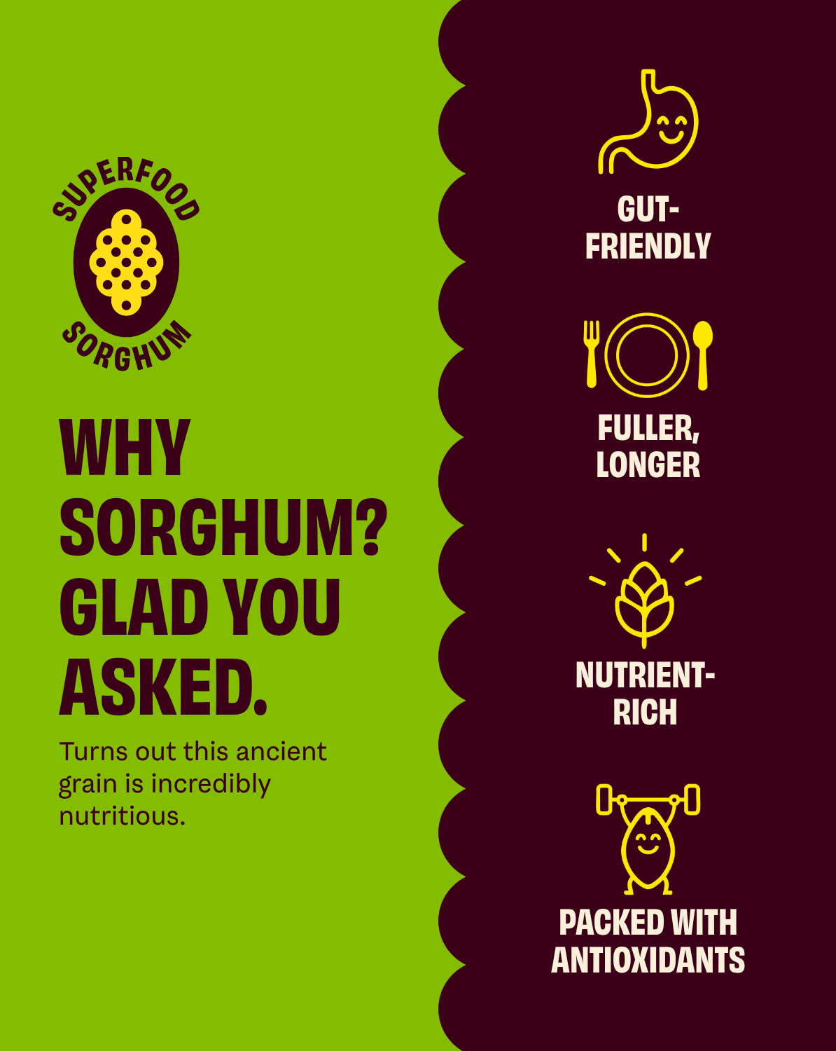 Cob Mediterranean Herb Popped Sorghum