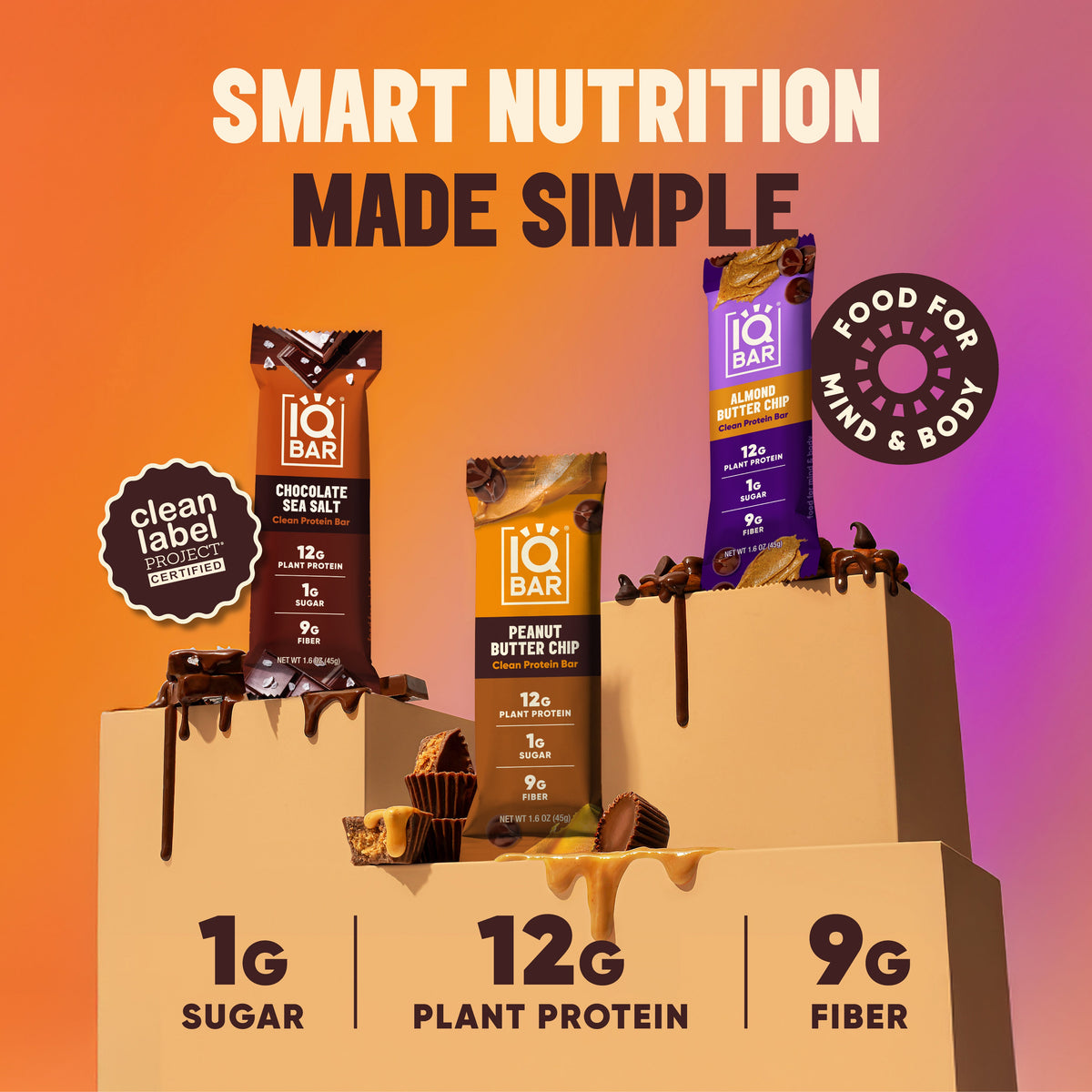 IQBAR Chocolate Lovers Bundle Protein Bars Variety Pack (36 Bars)