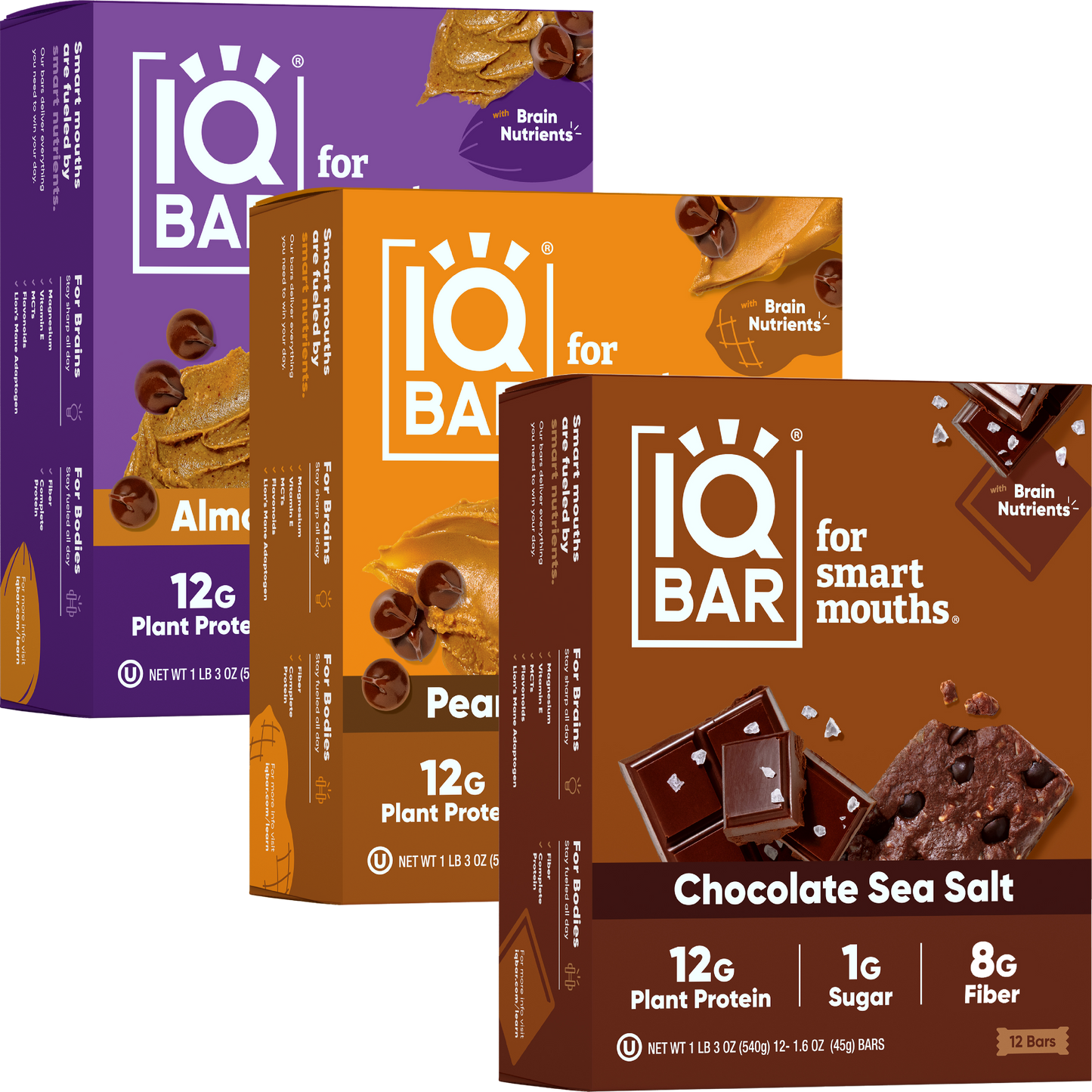 IQBAR Chocolate Lovers Bundle Protein Bars Variety Pack (36 Bars)