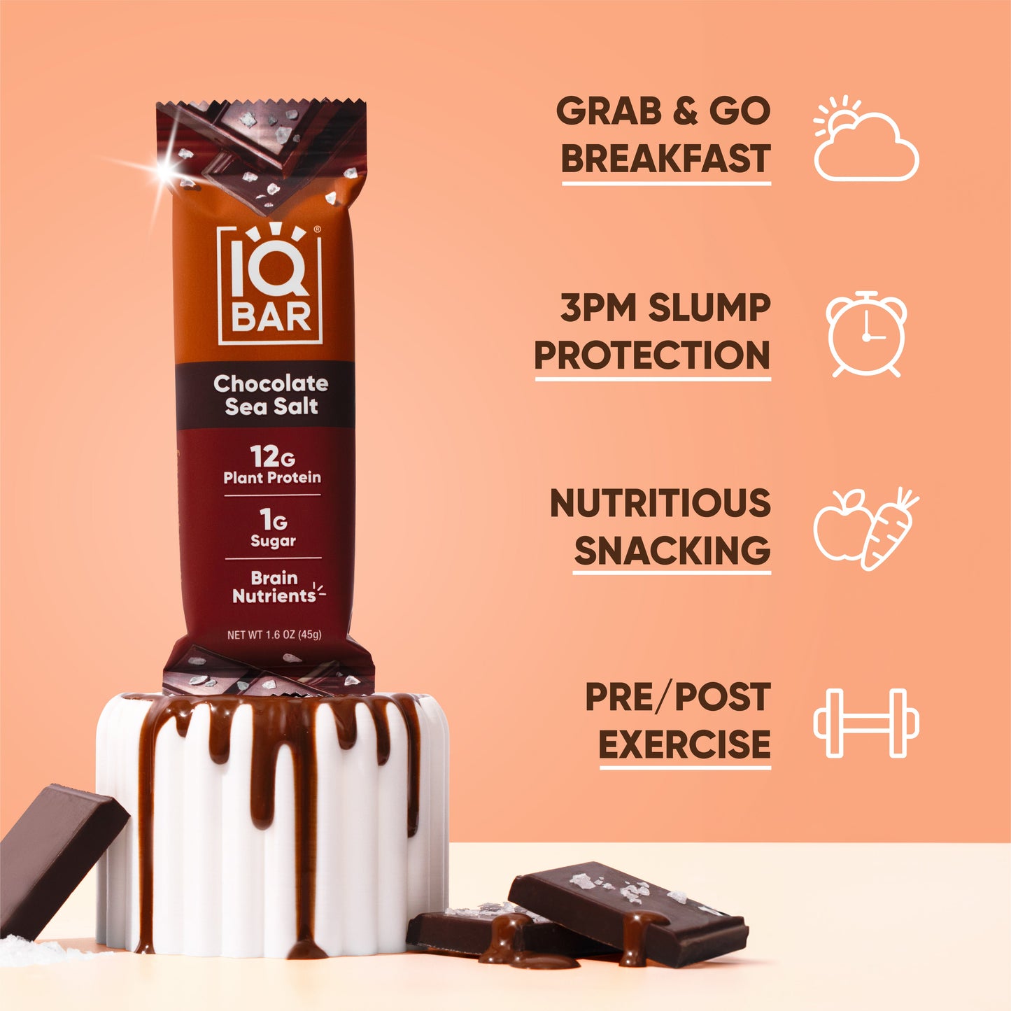 IQBAR Chocolate Sea Salt — Protein-Packed Energy Bars (12-Pack)