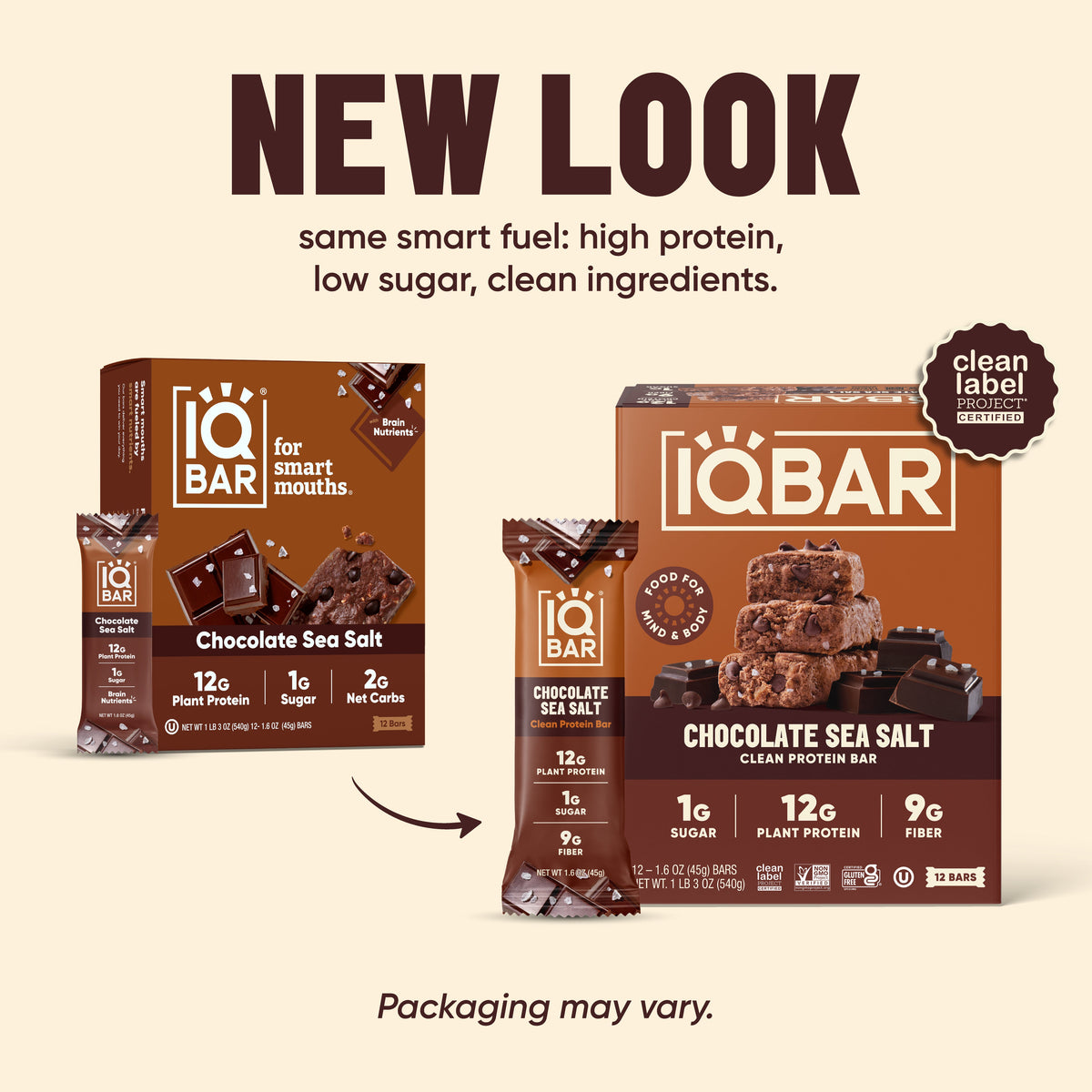 IQBAR Chocolate Sea Salt — Protein-Packed Energy Bars (12-Pack)
