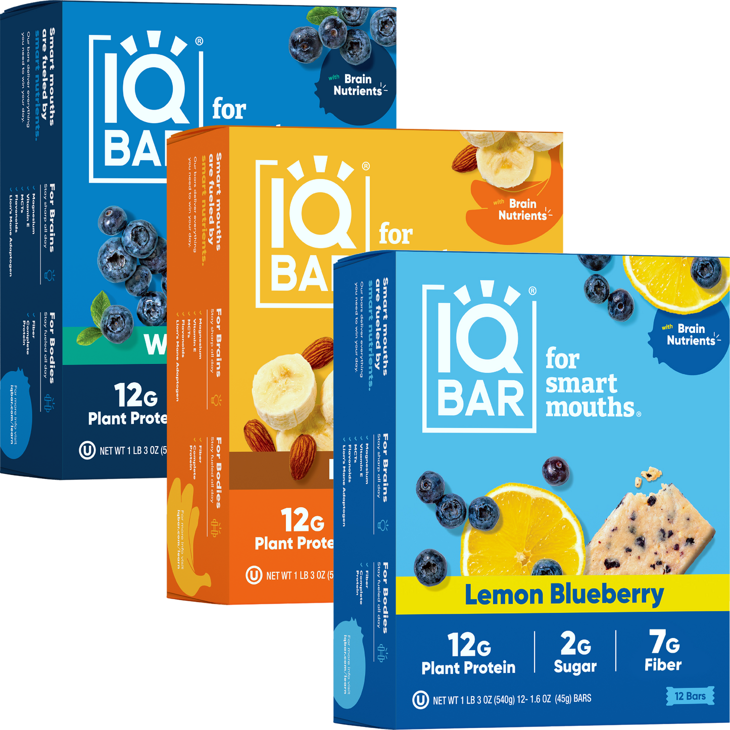 IQBAR Fruit Lovers Bundle (36 Bars)