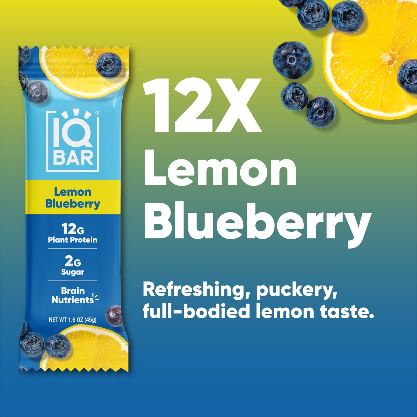 IQBAR Lemon Blueberry Protein Bar | Keto Plant-Based High Protein Snack