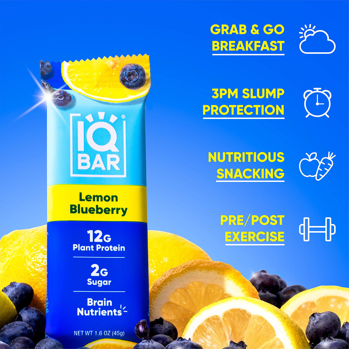 IQBAR Plant Protein Bars Bundle – Matcha Chai & Lemon Blueberry (24 Count)