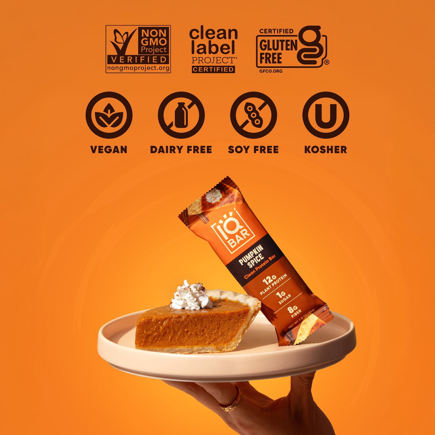 IQBAR Pumpkin Spice Protein Bars