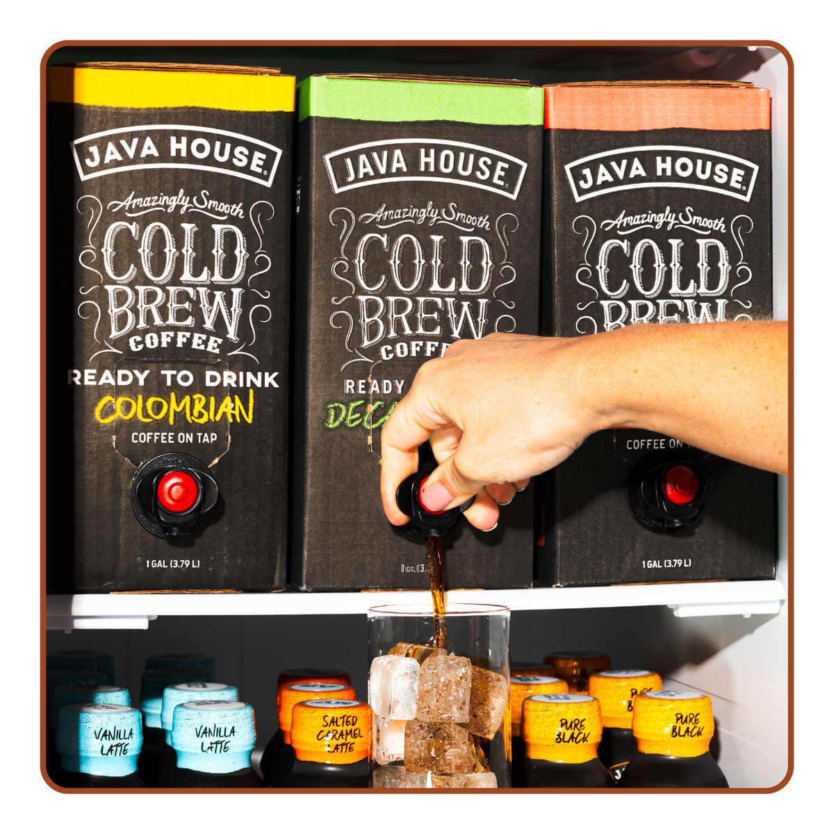 Java House Cold Brew On Tap