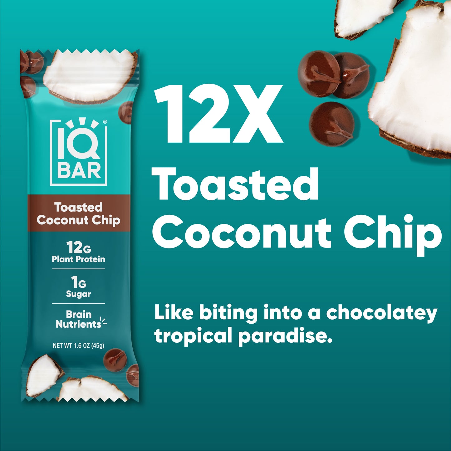 IQBAR Toasted Coconut Chip – Protein-Packed Energy Bars (12 Bars)