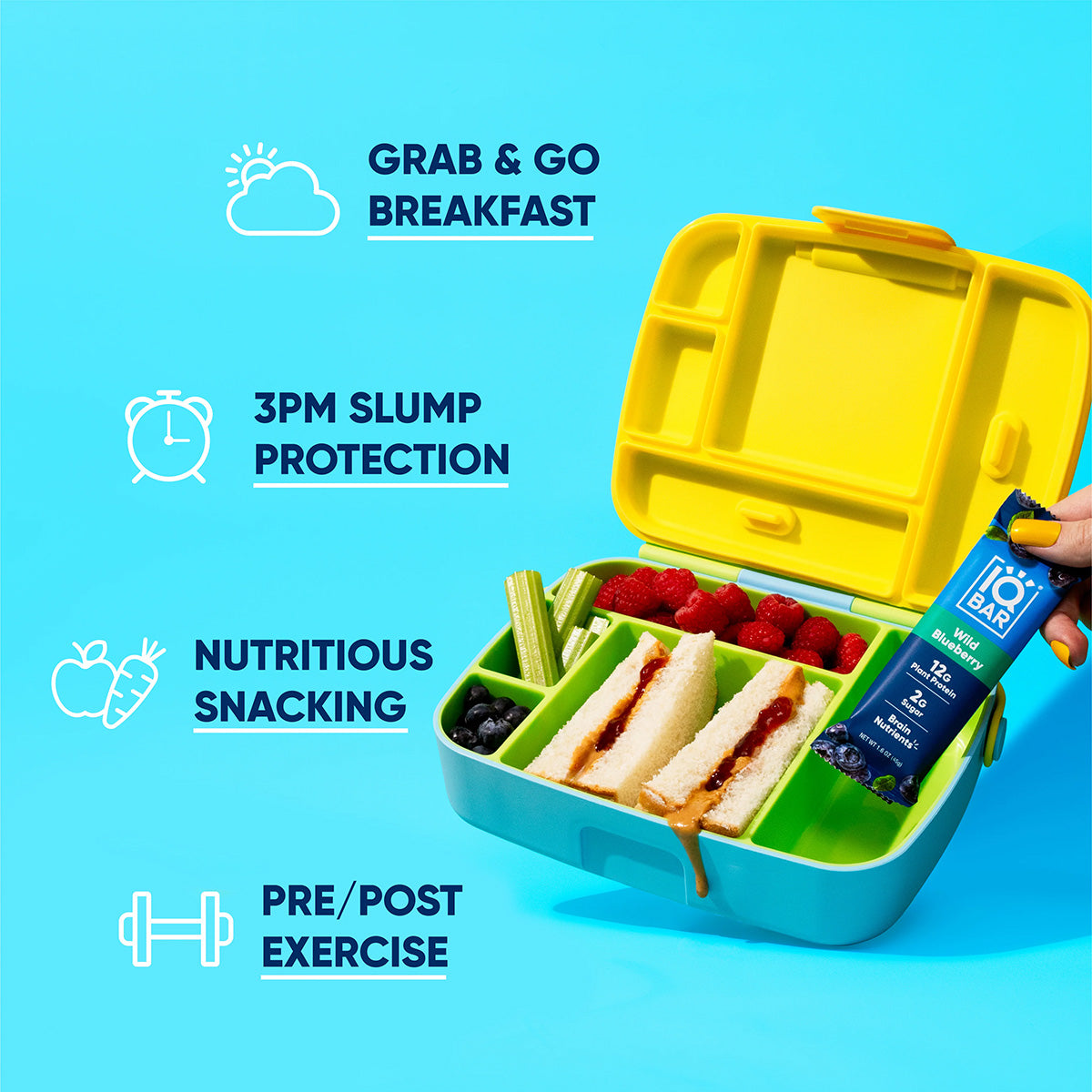 IQBAR Wild Blueberry Protein Bars Keto Friendly Snack Bars
