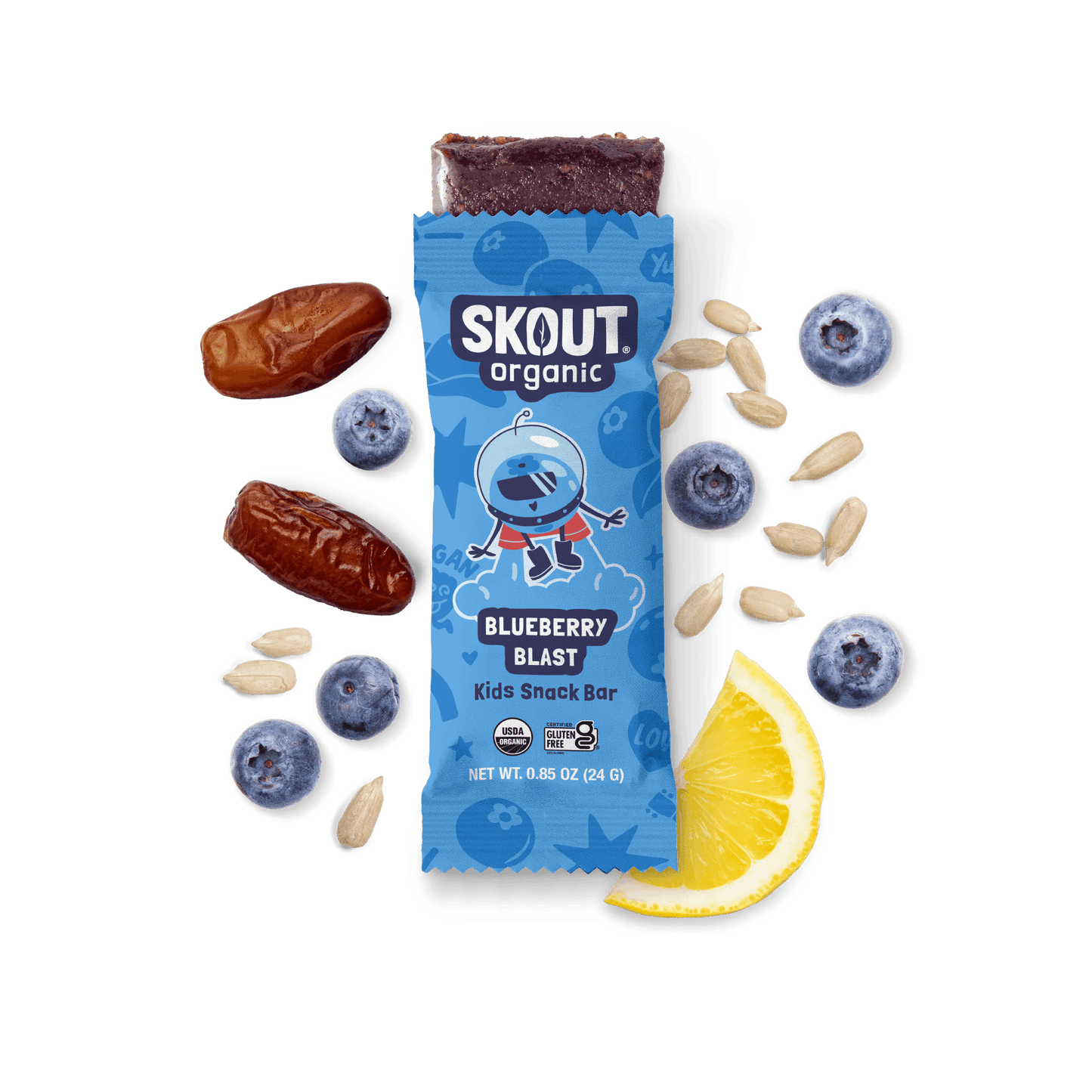 Skout Organic Blueberry Blast Kids Bar