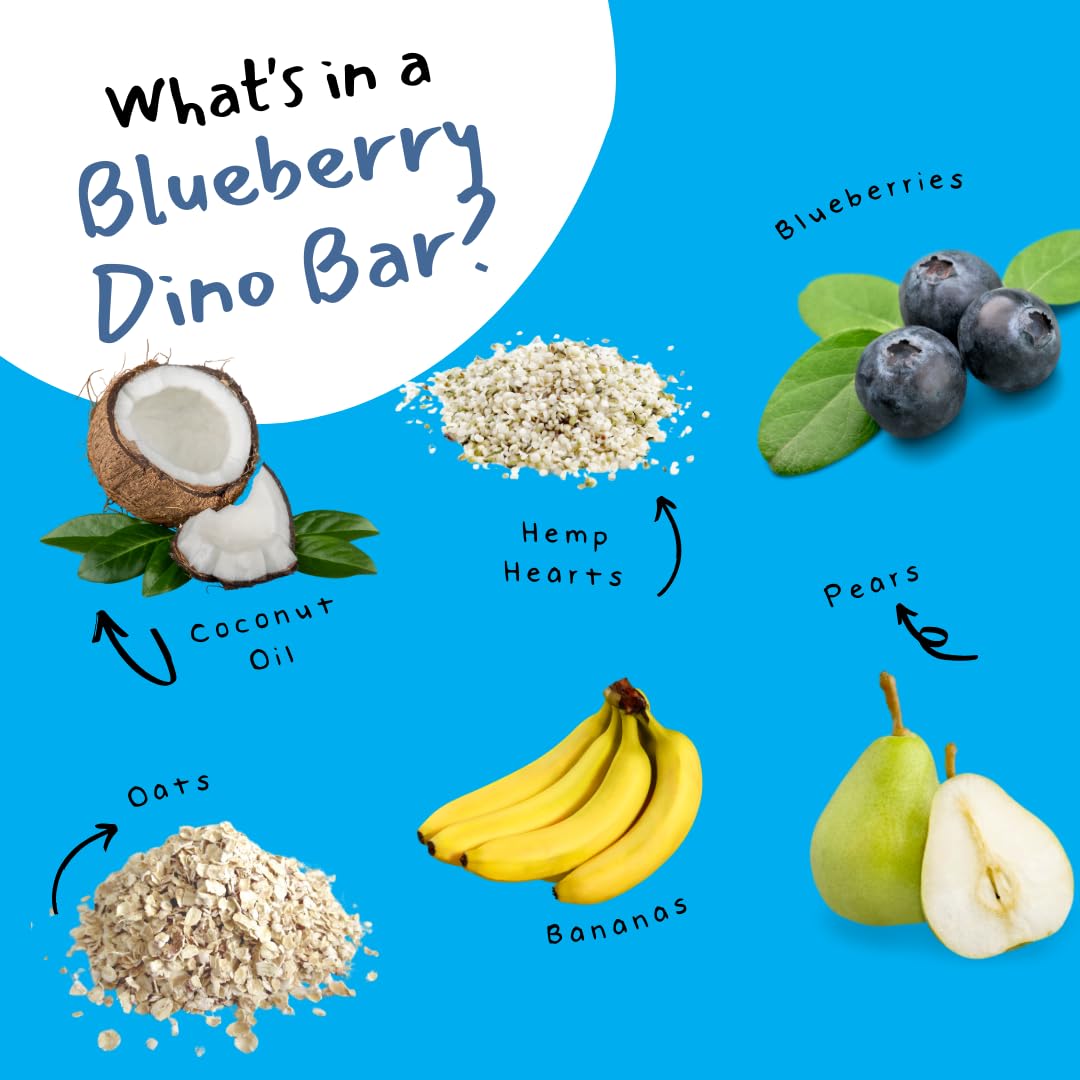 Dino Bars Organic Fruit Bar Variety Pack