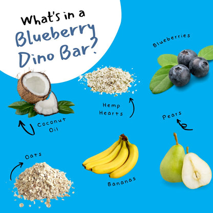 Dino Bars Organic Fruit Bar Variety Pack