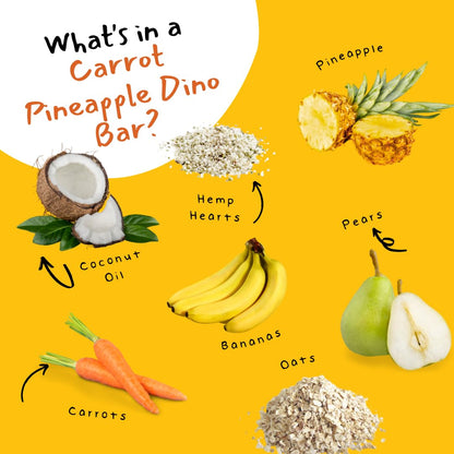 Dino Bars Organic Fruit Bar Variety Pack