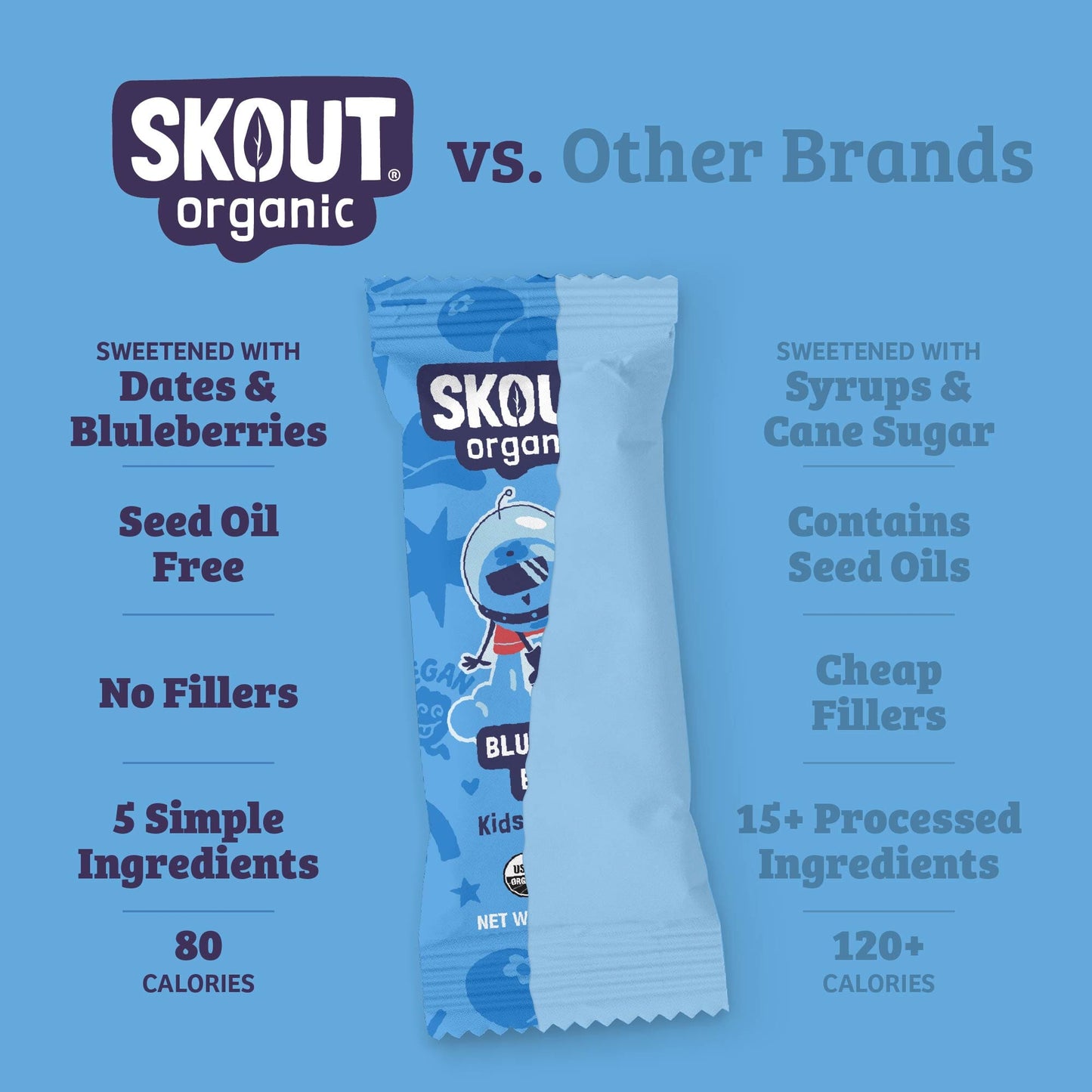 Skout Organic Blueberry Blast Kids Bar