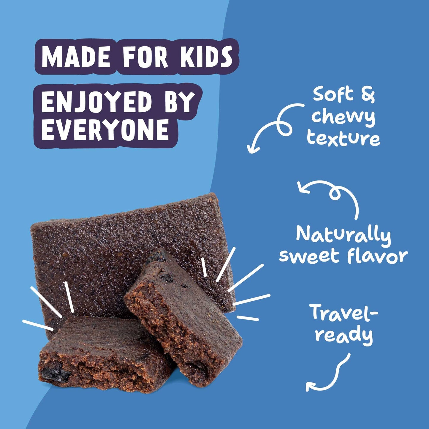 Skout Organic Blueberry Blast Kids Bar