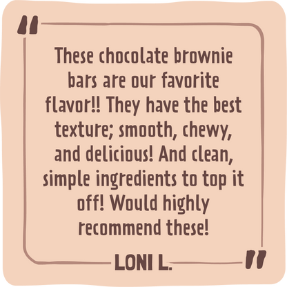 Skout Organic Chocolate Brownie Kids Bar