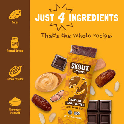 Skout Organic Chocolate Peanut Butter Kids Bar