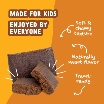 Skout Organic Chocolate Peanut Butter Kids Bar