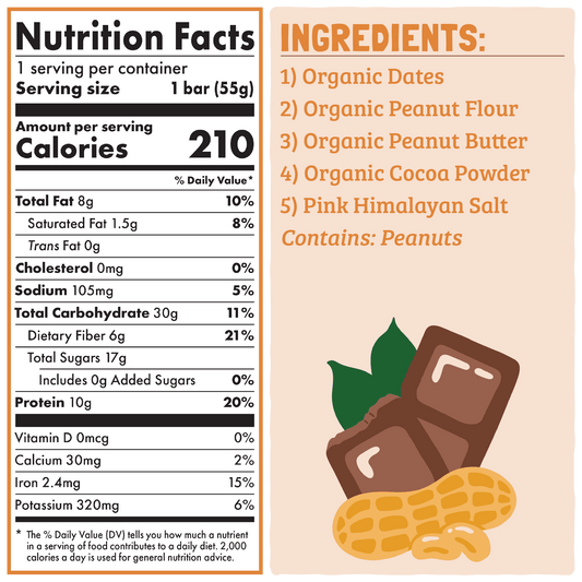 Skout Organic Chocolate Peanut Butter Protein Bar
