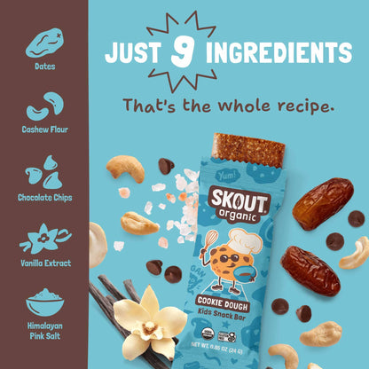 Skout Organic Cookie Dough Kids Bar