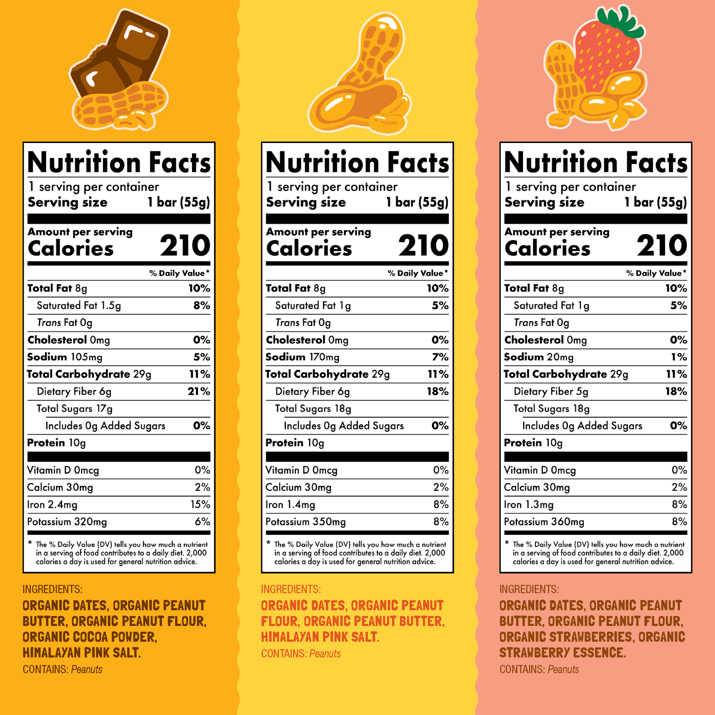 Skout Organic Protein Bar Sample Pack
