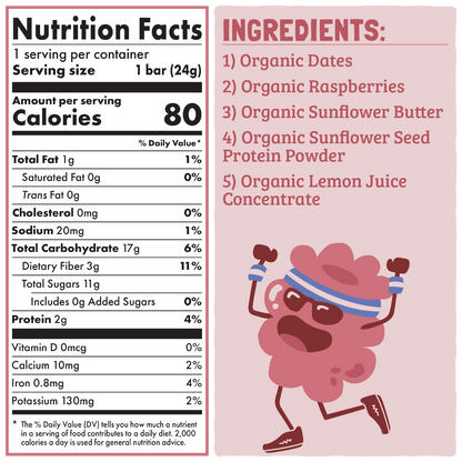 Skout Organic Raspberry Rush Kids Bar