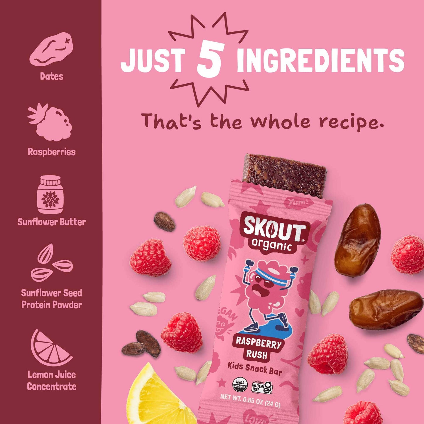 Skout Organic Raspberry Rush Kids Bar