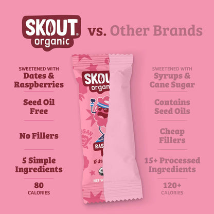 Skout Organic Raspberry Rush Kids Bar