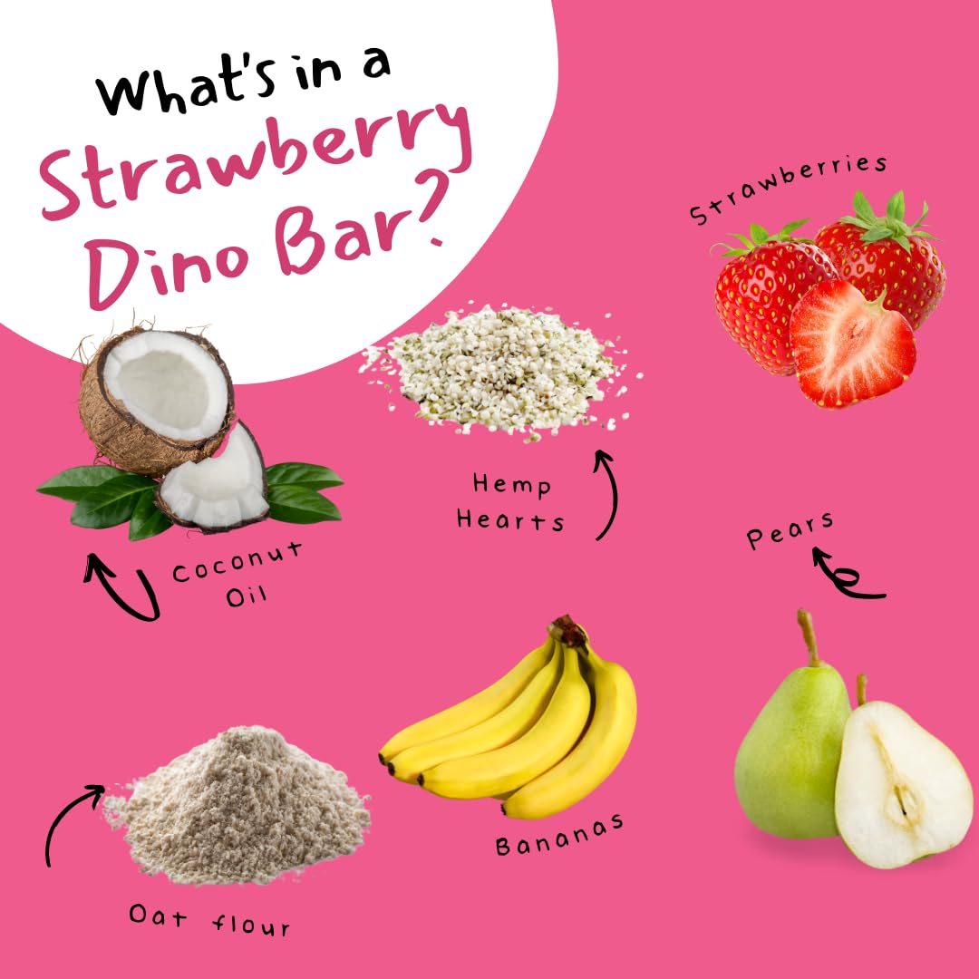 Dino Bars Organic Fruit Bar Variety Pack