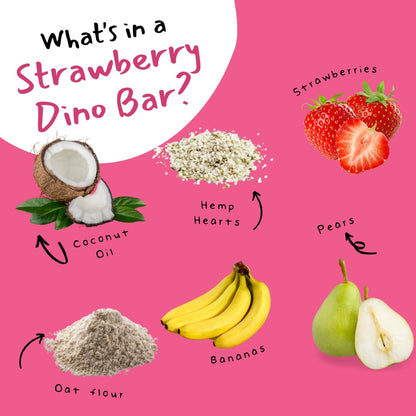 Dino Bars Organic Fruit Bar Variety Pack