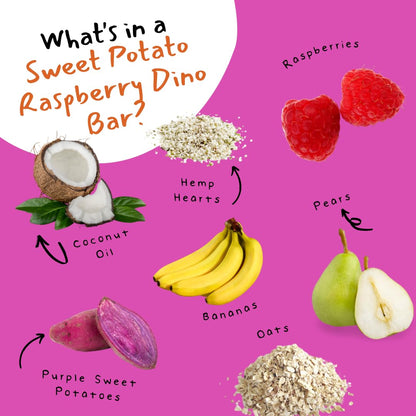 Dino Bars Organic Fruit Bar Variety Pack